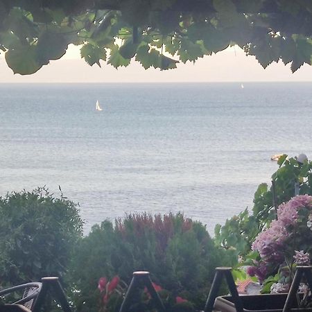 Villa Malezan Ohrid Eksteriør billede