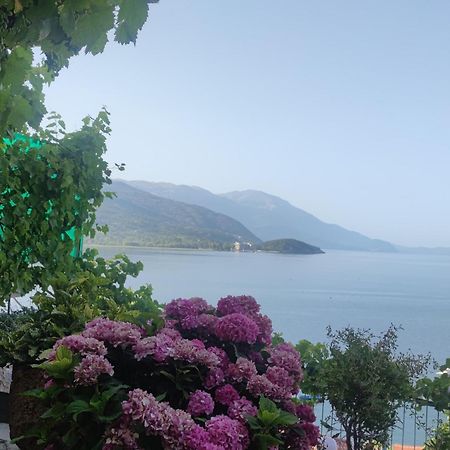 Villa Malezan Ohrid Eksteriør billede