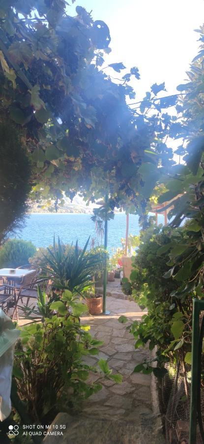 Villa Malezan Ohrid Eksteriør billede