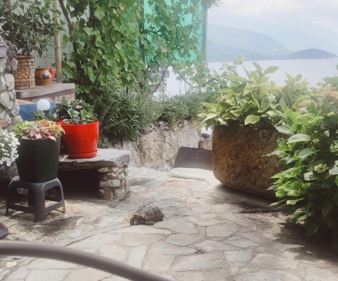 Villa Malezan Ohrid Eksteriør billede