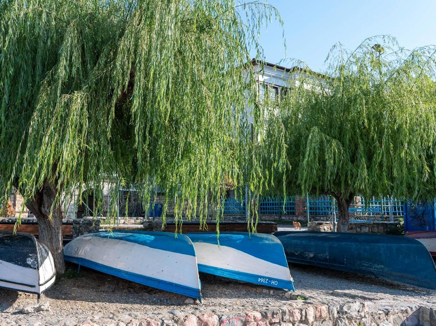 Villa Malezan Ohrid Eksteriør billede