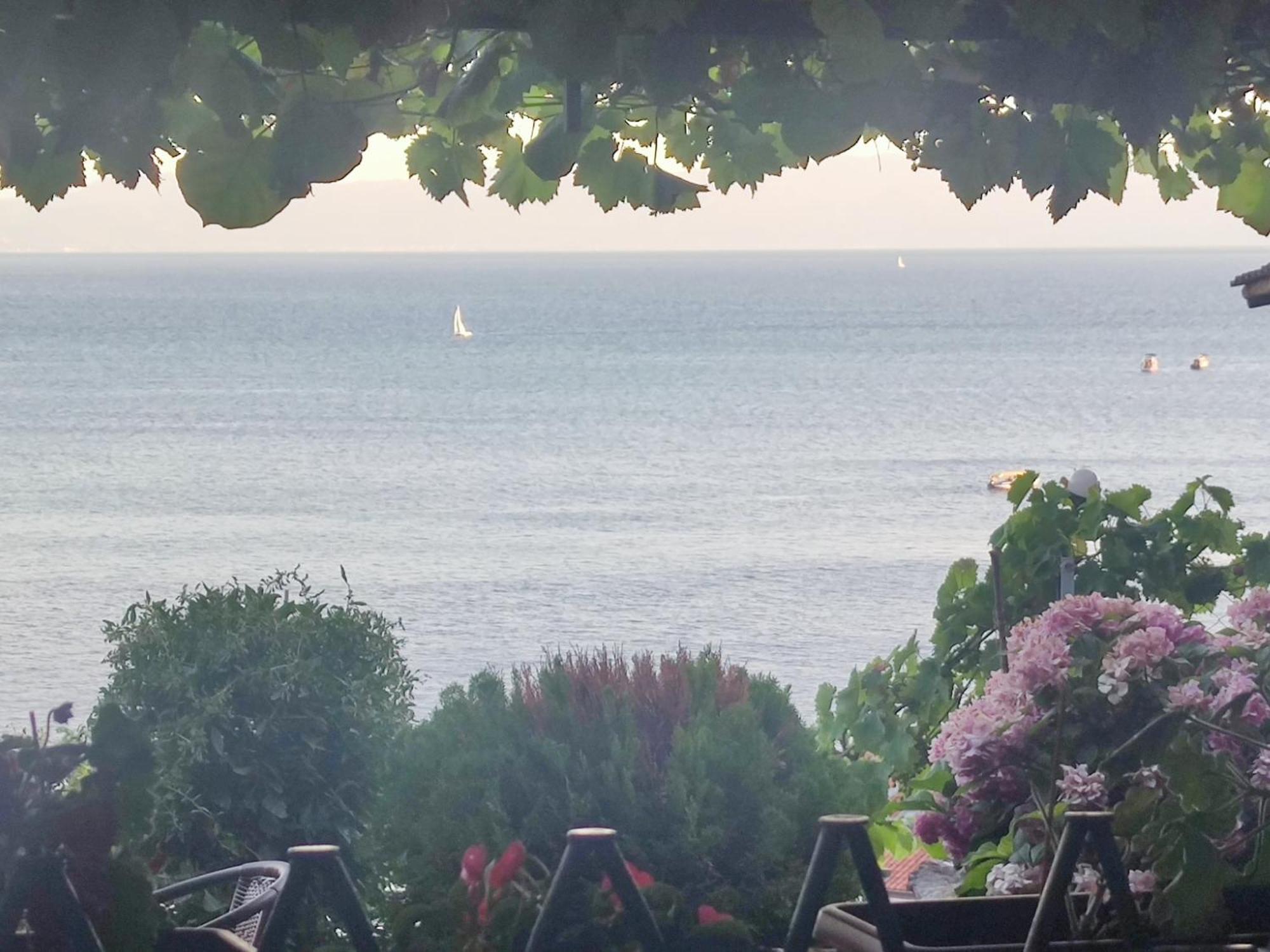 Villa Malezan Ohrid Eksteriør billede