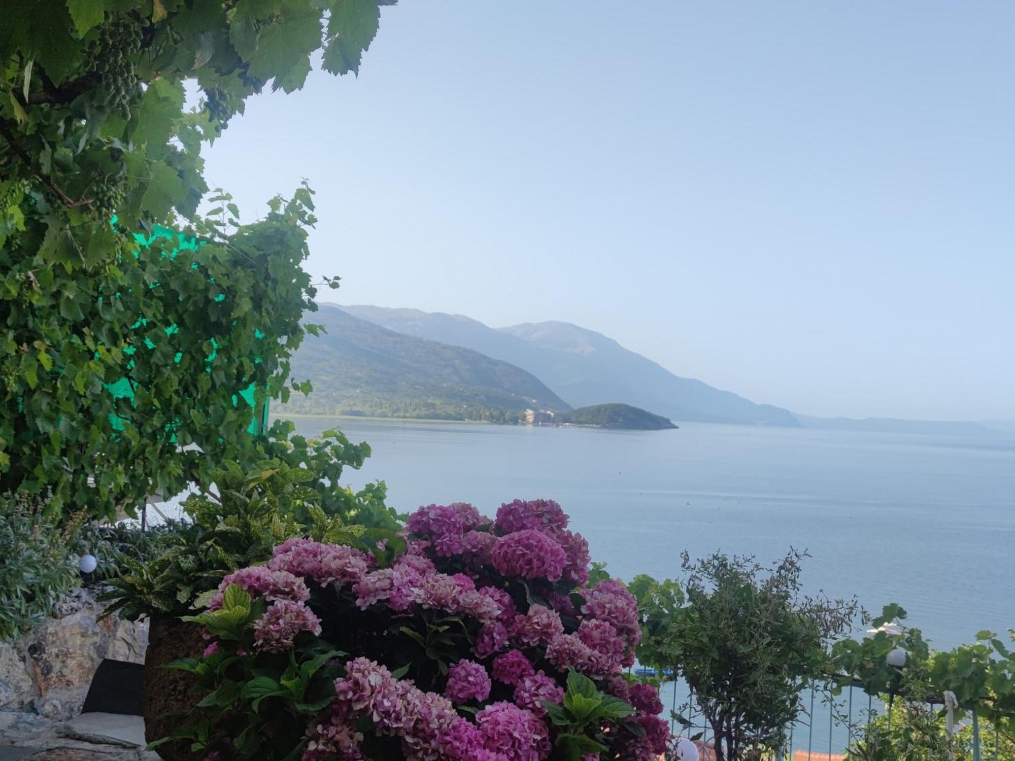 Villa Malezan Ohrid Eksteriør billede