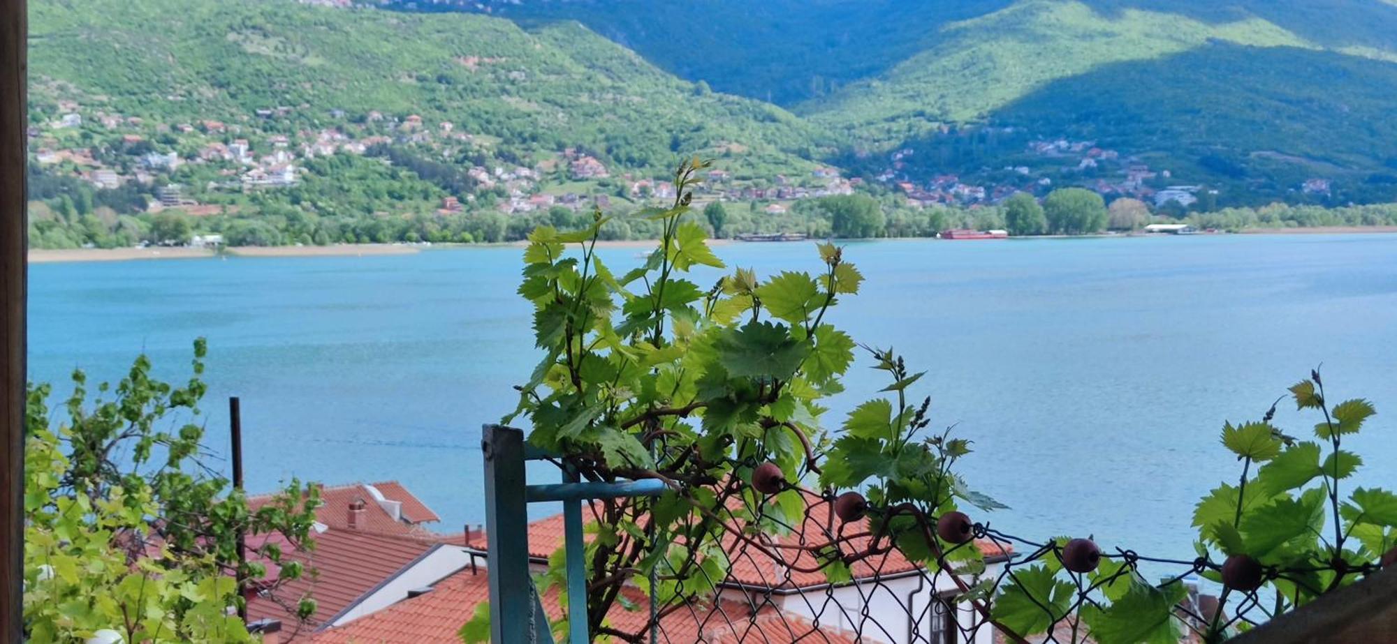 Villa Malezan Ohrid Eksteriør billede