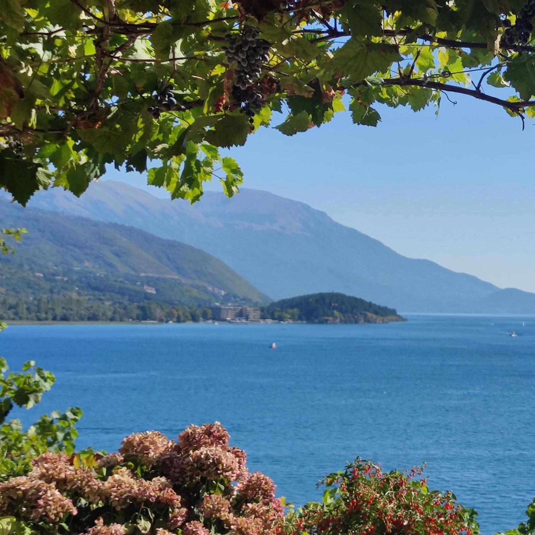 Villa Malezan Ohrid Eksteriør billede